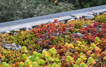 the cost of Meinciau green roof installation