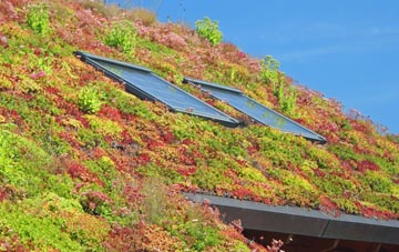 Meinciau living roof systems